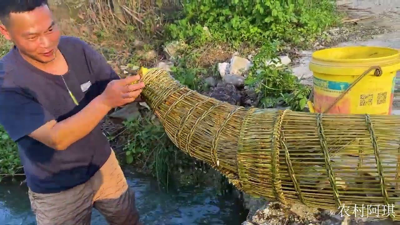 这种抓鱼神器大家认识吗？不用诱饵鱼乖乖往里钻，阿琪收获真不错