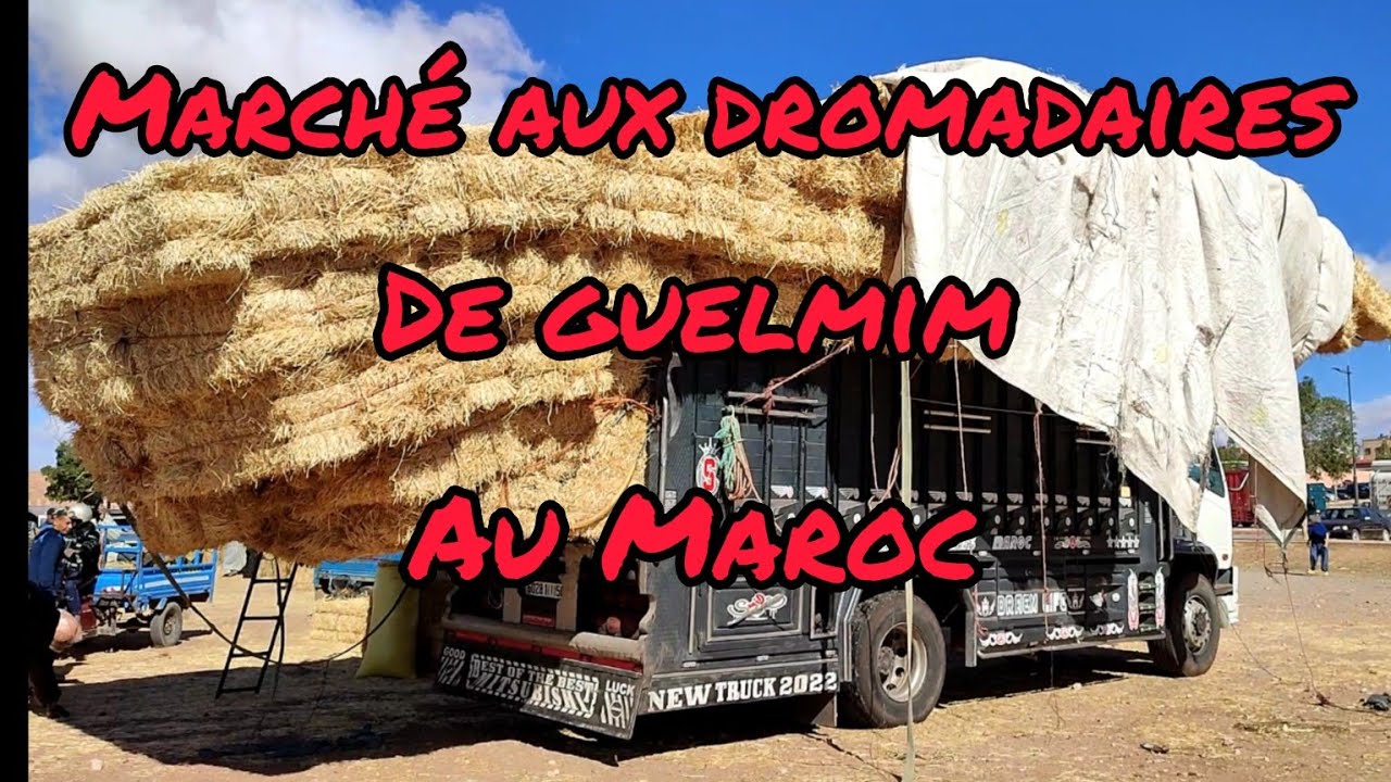 DÉCOUVRE LE MAROC Avec le gaulois et sa famille nomade 👍