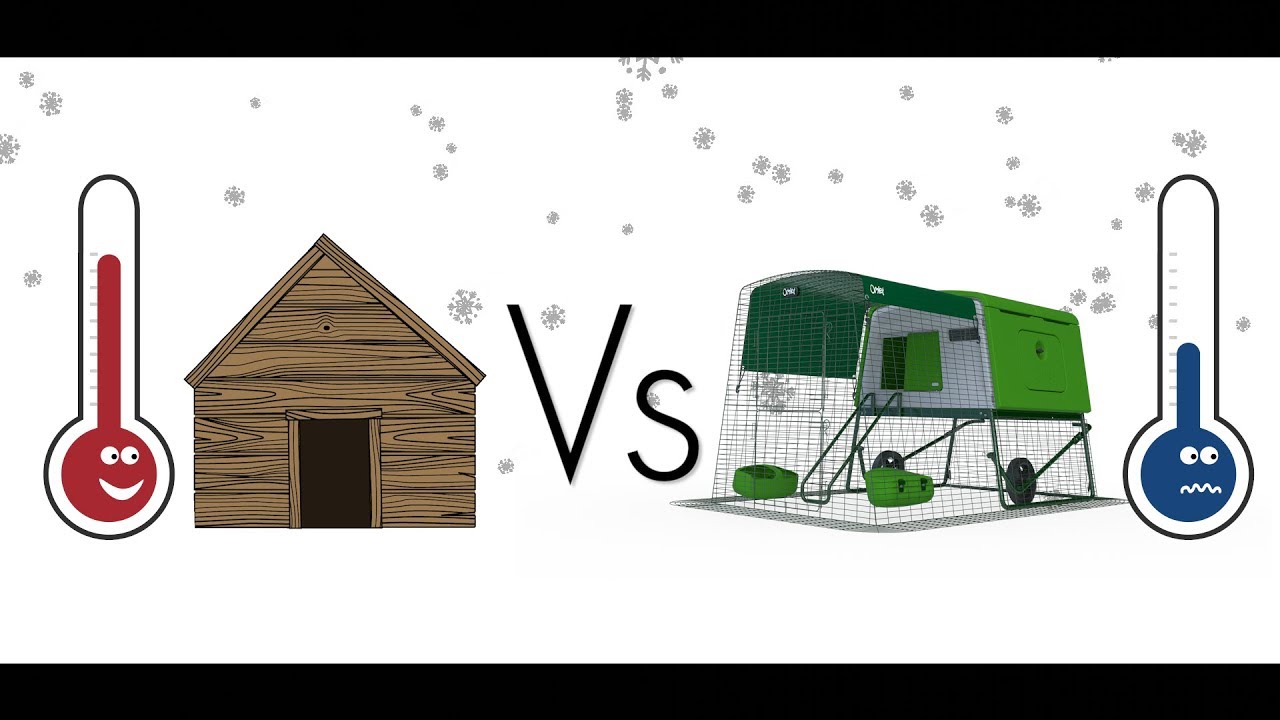 Chicken Coop Winter Temperature Test | Wooden vs Eglu