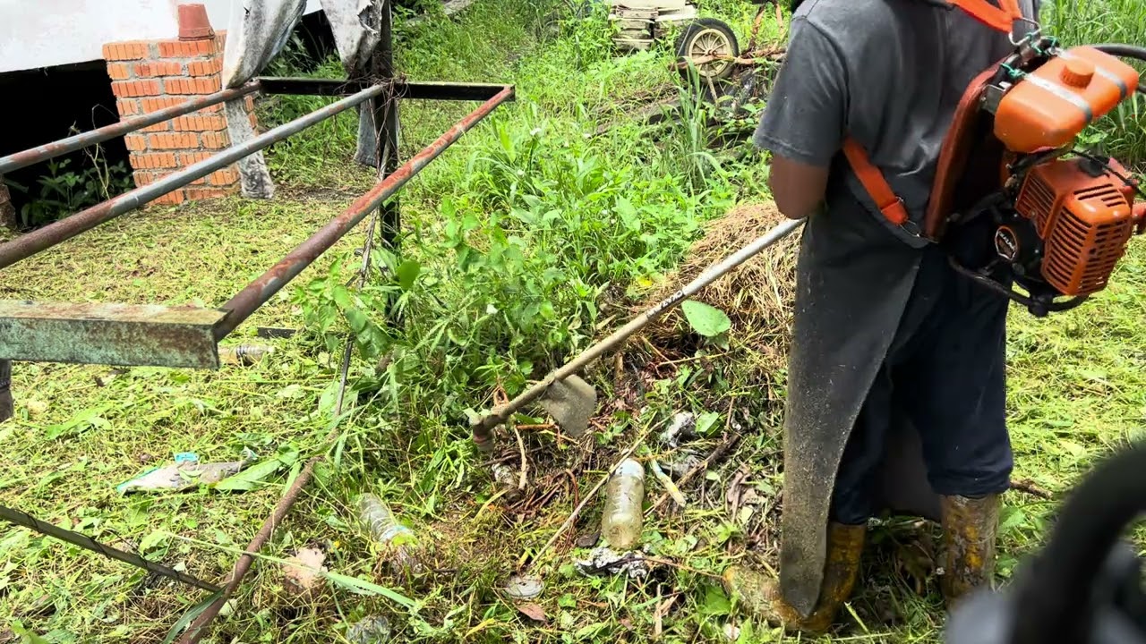 cut grass cutting affordable part 5