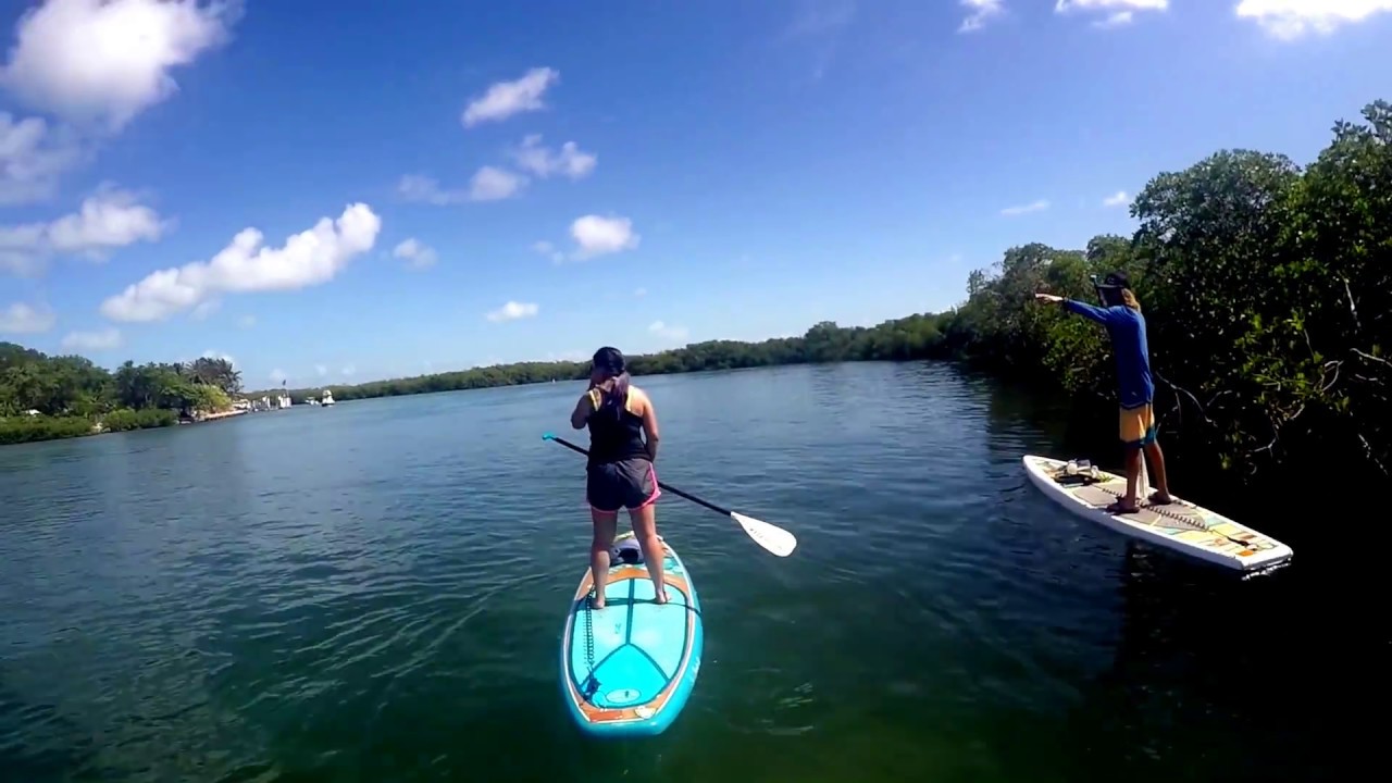 Paddleboarding (SUP) in the Mangroves - Florida Keys