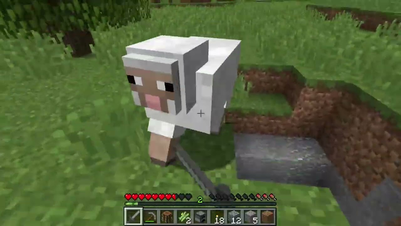 playing minecraft