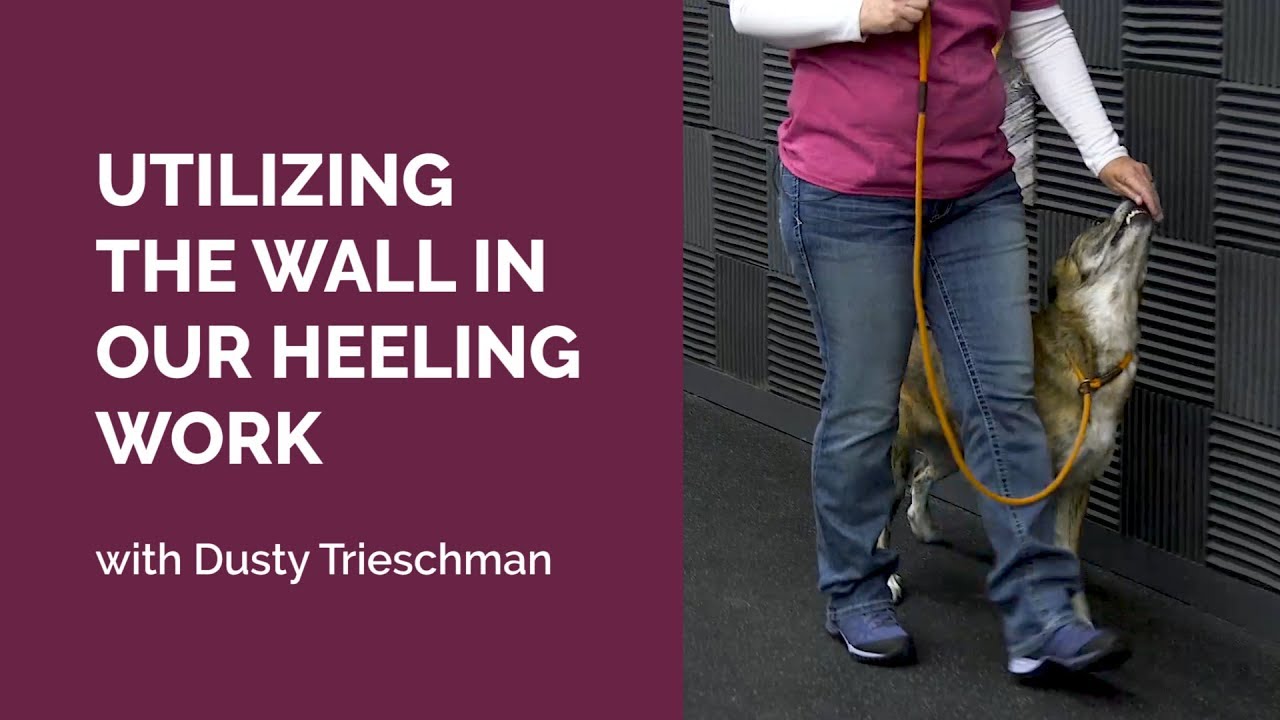Utilizing the Wall for Heeling in Rally Obedience