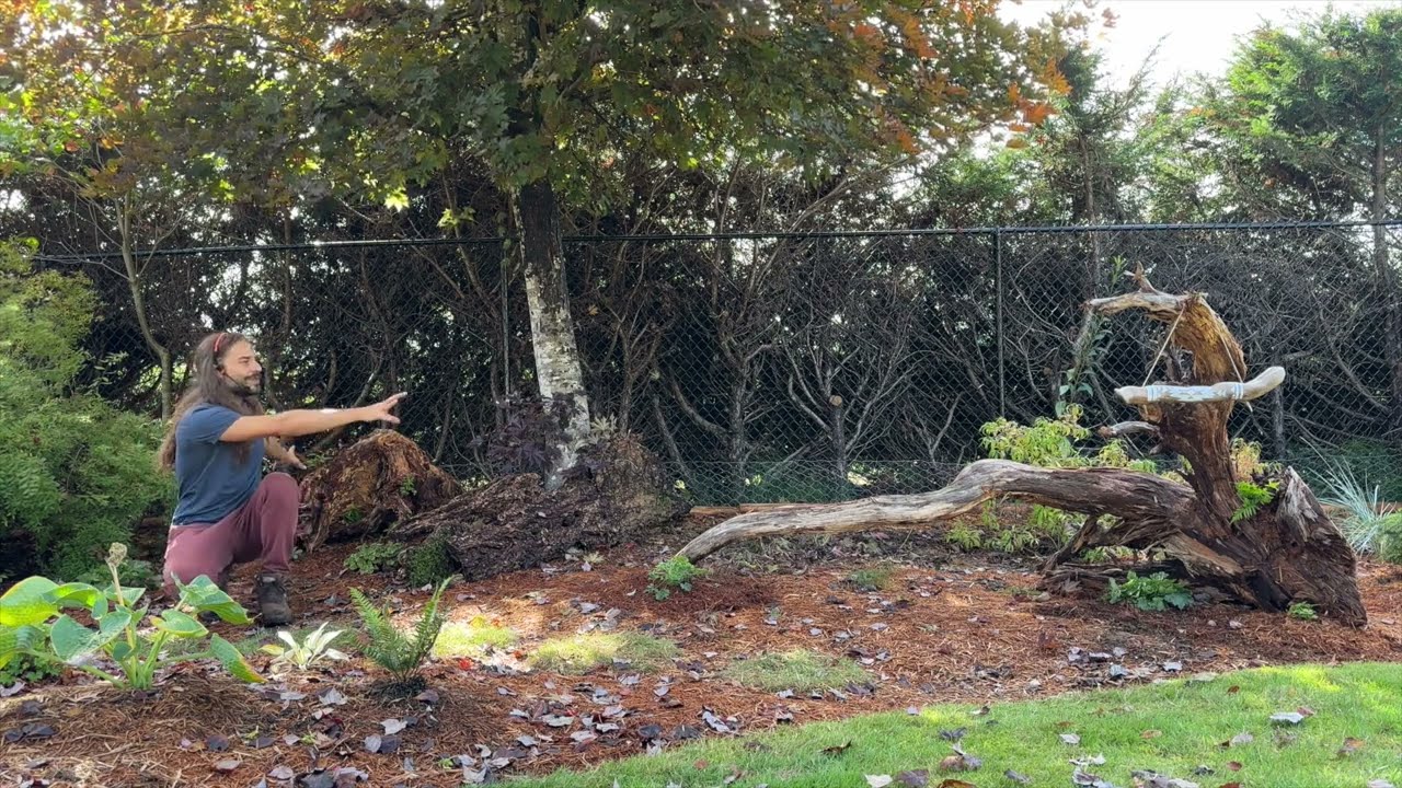 Stumpery Garden Planting & Tour ☘️🌿🌱 - Part 1