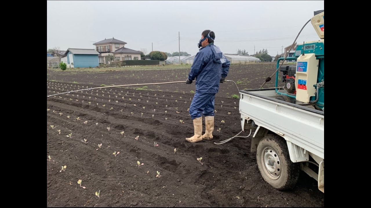 除草剤の種類と使い方　20/3/31
