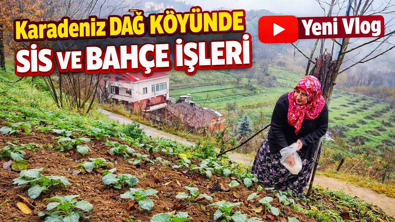 Dumanlı Dağlar ve Soğuk Çise 🌫️ Karadeniz Köyünde Bir Gün