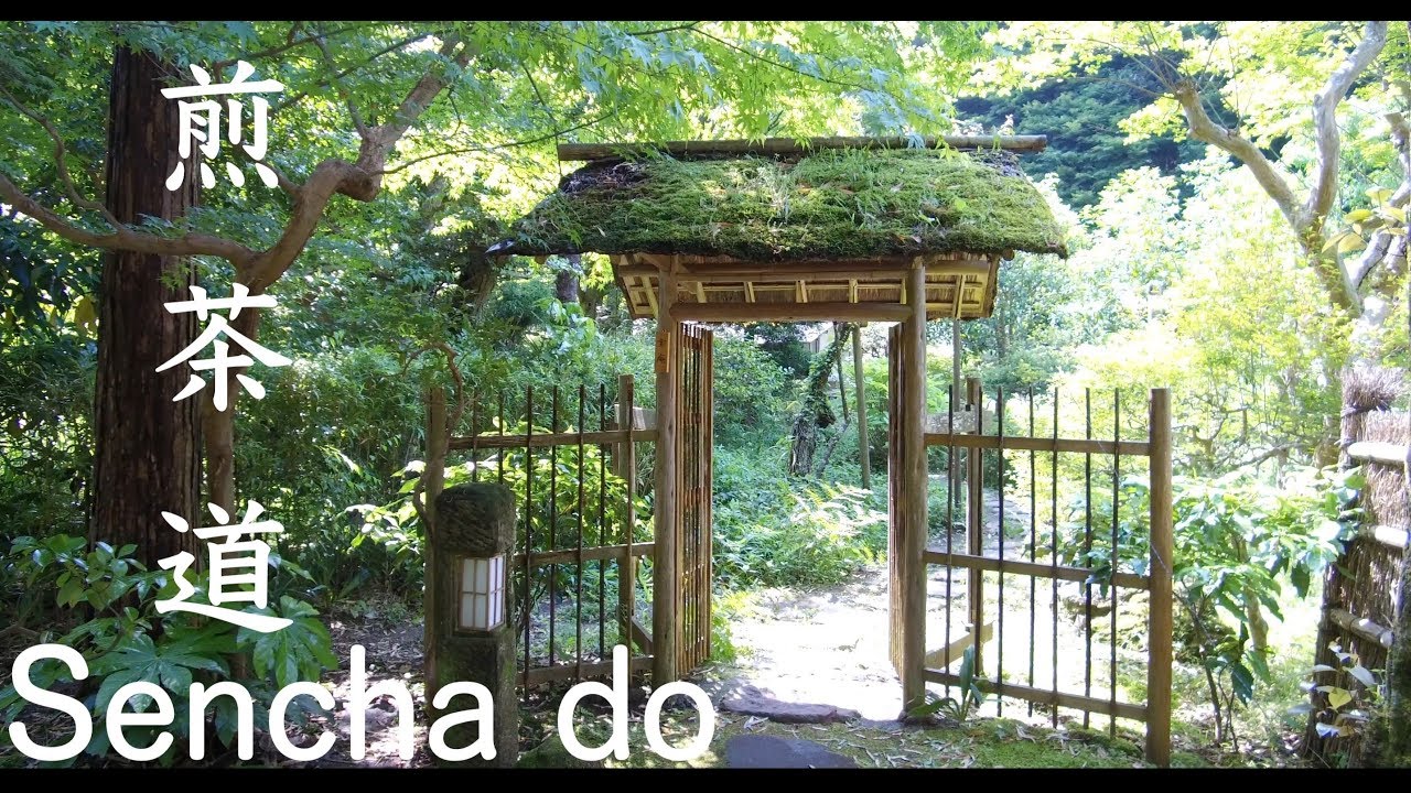 Japanese tea: Sencha tea ceremony lesson in Kamakura 煎茶道 黄檗売茶流 北鎌倉茶室 宝庵