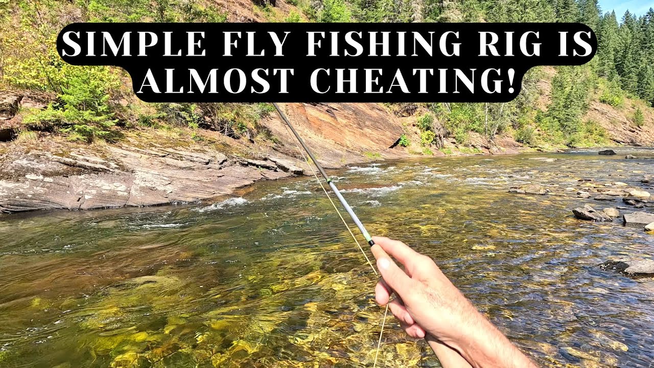 Trout have no chance - This fly fishing rig makes catching trout TOO EASY!