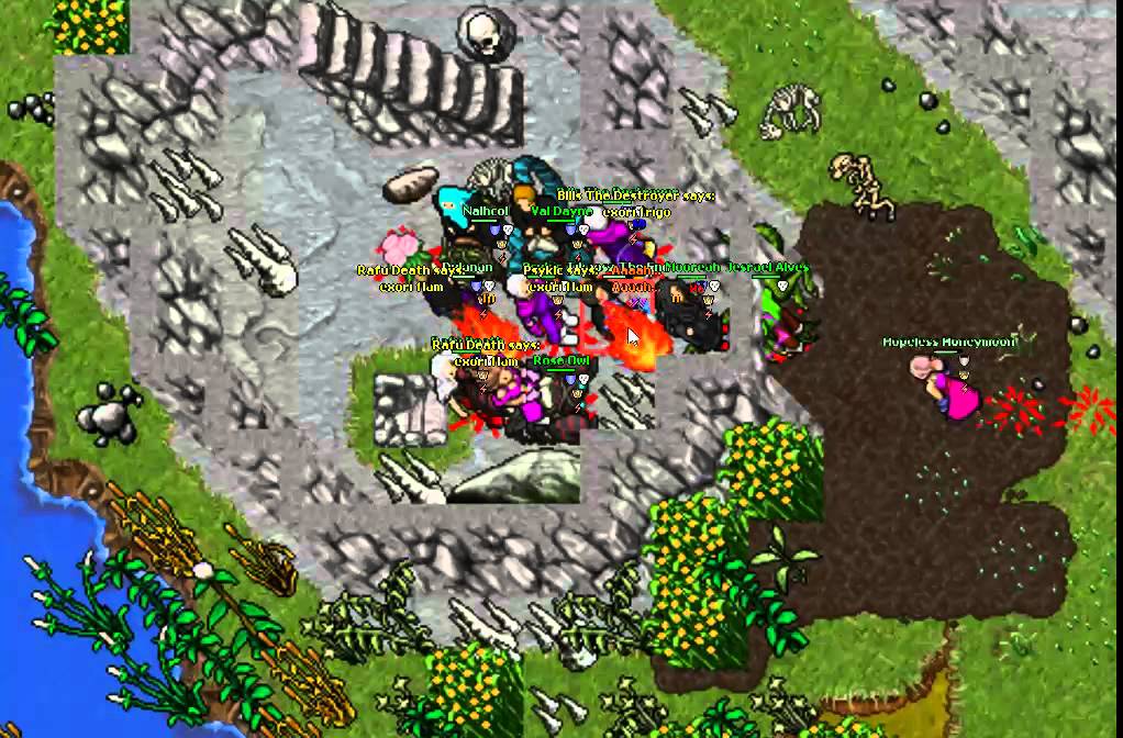 tibia