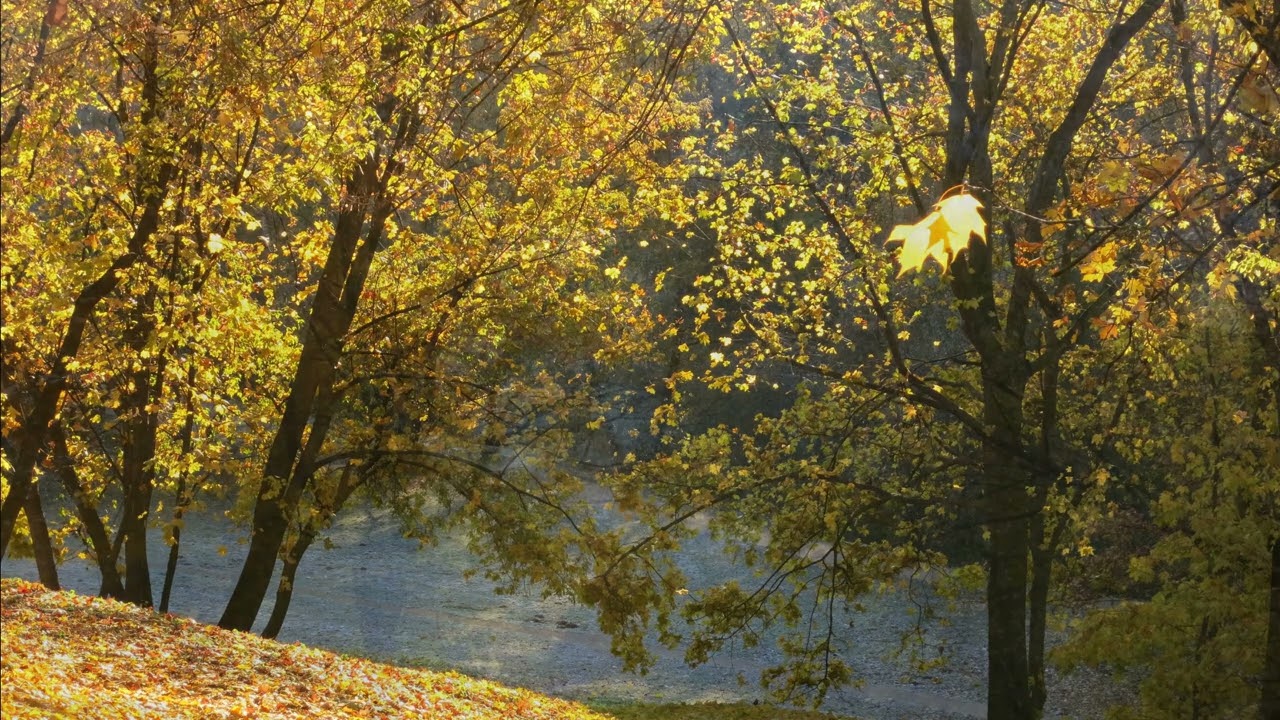 Collection 33 ( Autumn in Kolomenskoye Park )