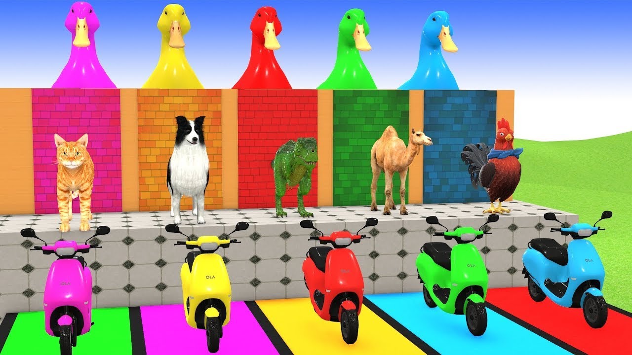 Long Slide Game With Cow Elephant Gorilla Hippopotamus Tiger - 3d Animal Game - Funny 3d Animals