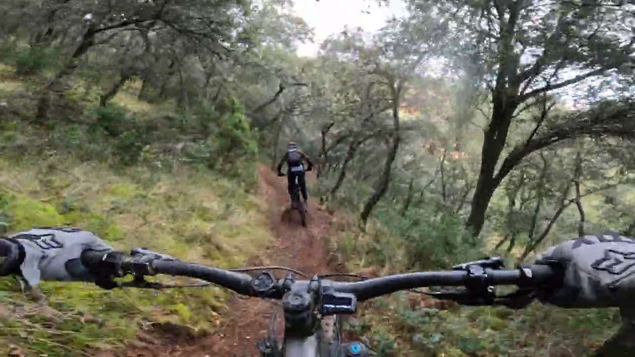 Arnedo 2026.02.07: El Tubo II