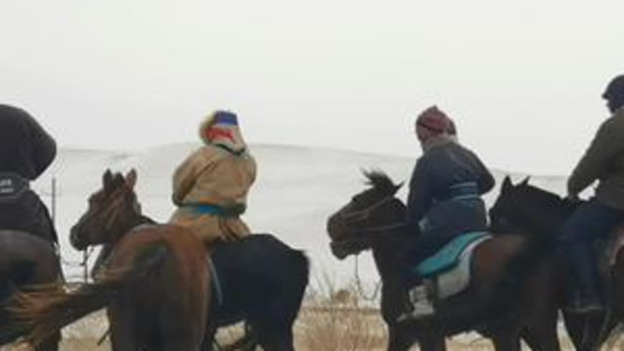 #西乌风雪 #打虎上山