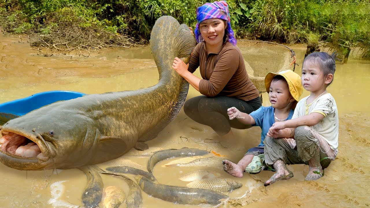 Amazing Giant Fish Pond Harvest for Market Sale | Cook Warm Porridge for Little Daughter