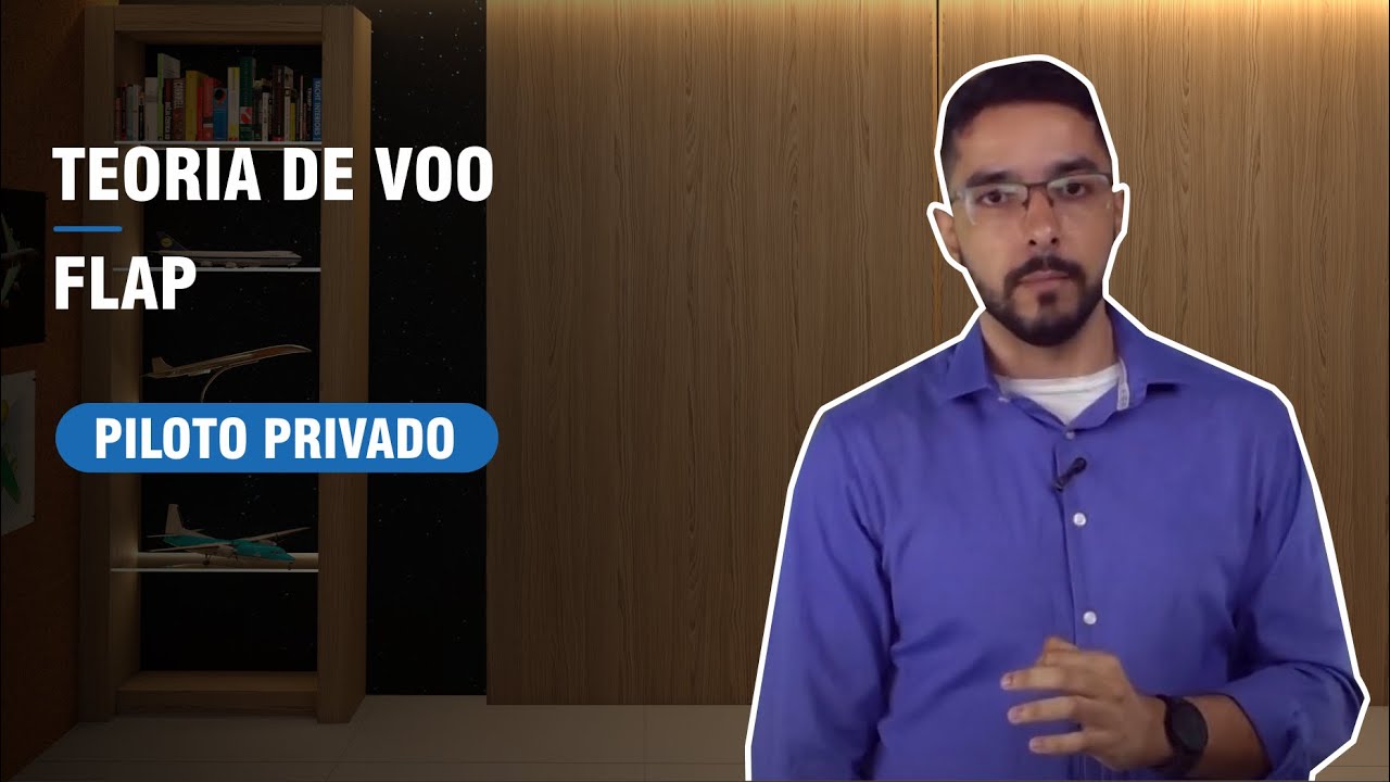 FLAP - CURSO DE PILOTO PRIVADO (TEORIA DE VOO)