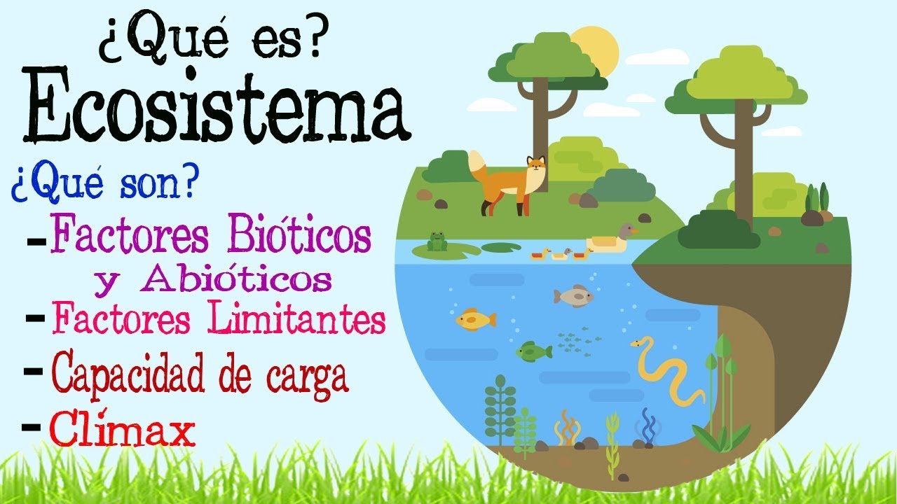 🌎Ecosistema | Factores Bi&oacute;ticos y Abi&oacute;ticos 🌿 | [F&aacute;cil y R&aacute;pido] | BIOLOG&Iacute;A |
