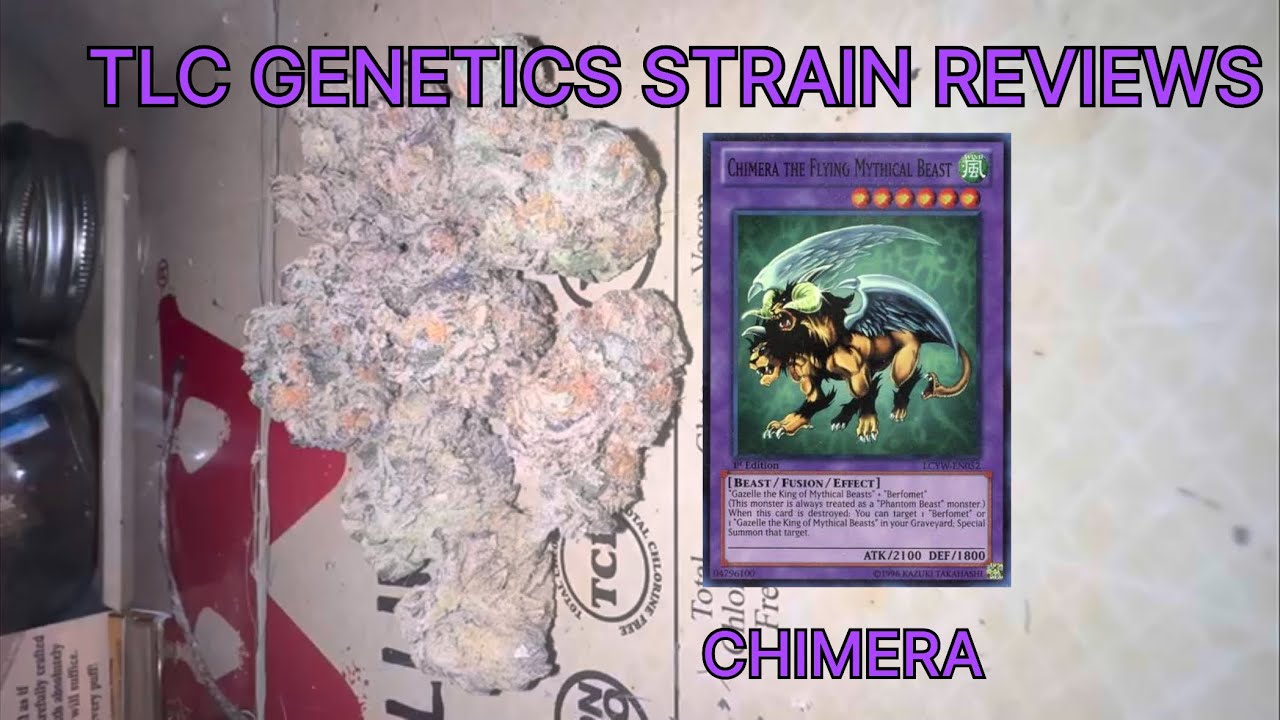 Chimera Cannabis Flower (Strain Review): The TLC Genetic Show
