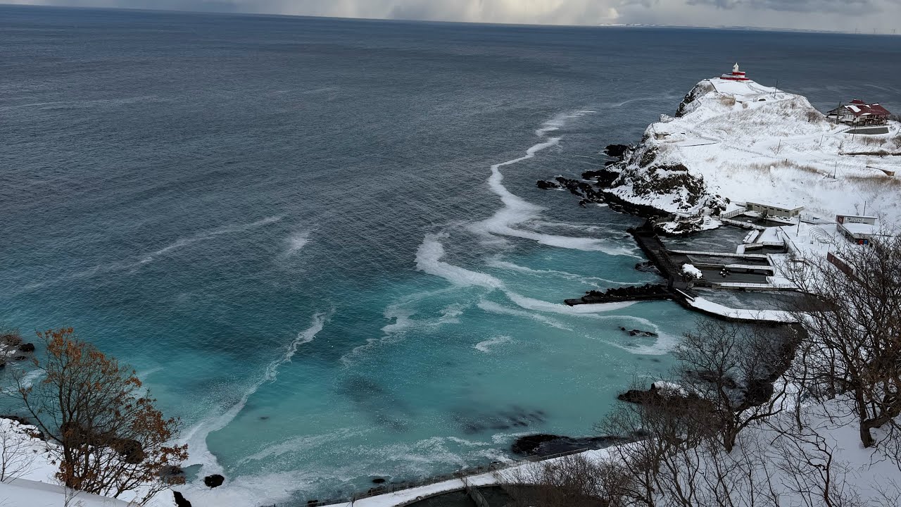 【空撮】小樽市祝津 群来の様子