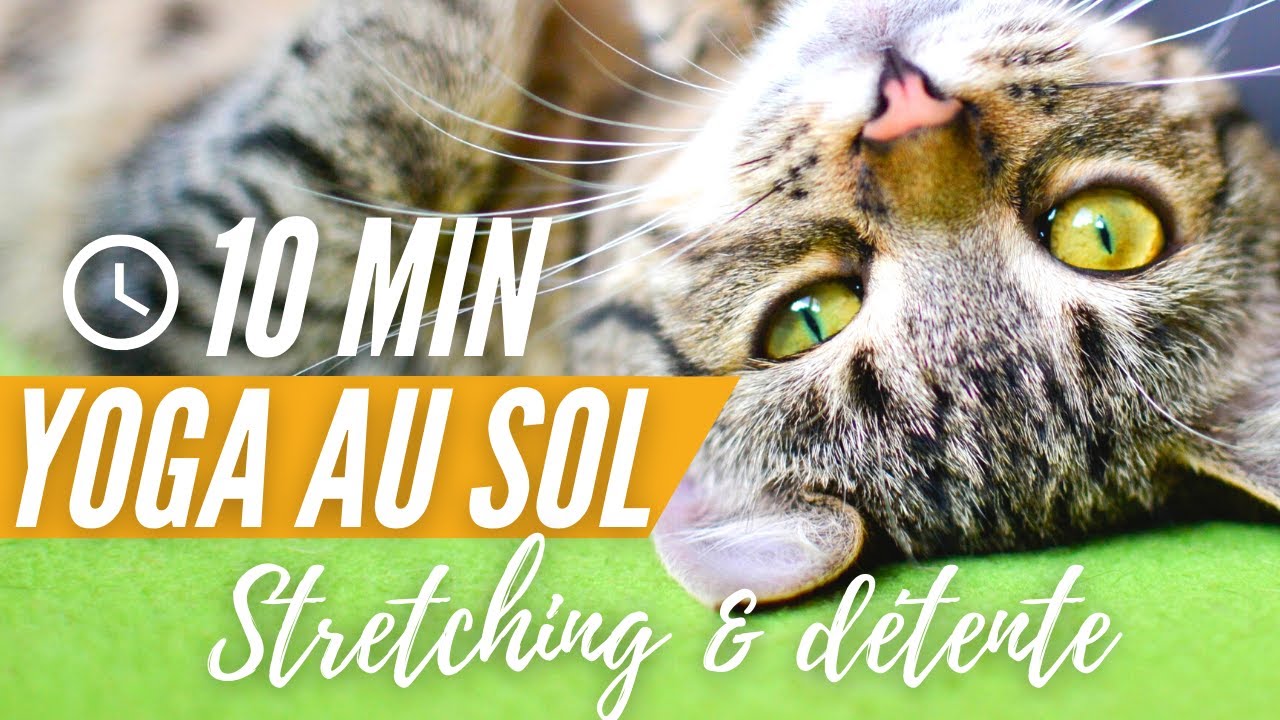 Yoga au sol | 10 minutes de stretching et de détente | Etirement au sol | Yoga sur le dos