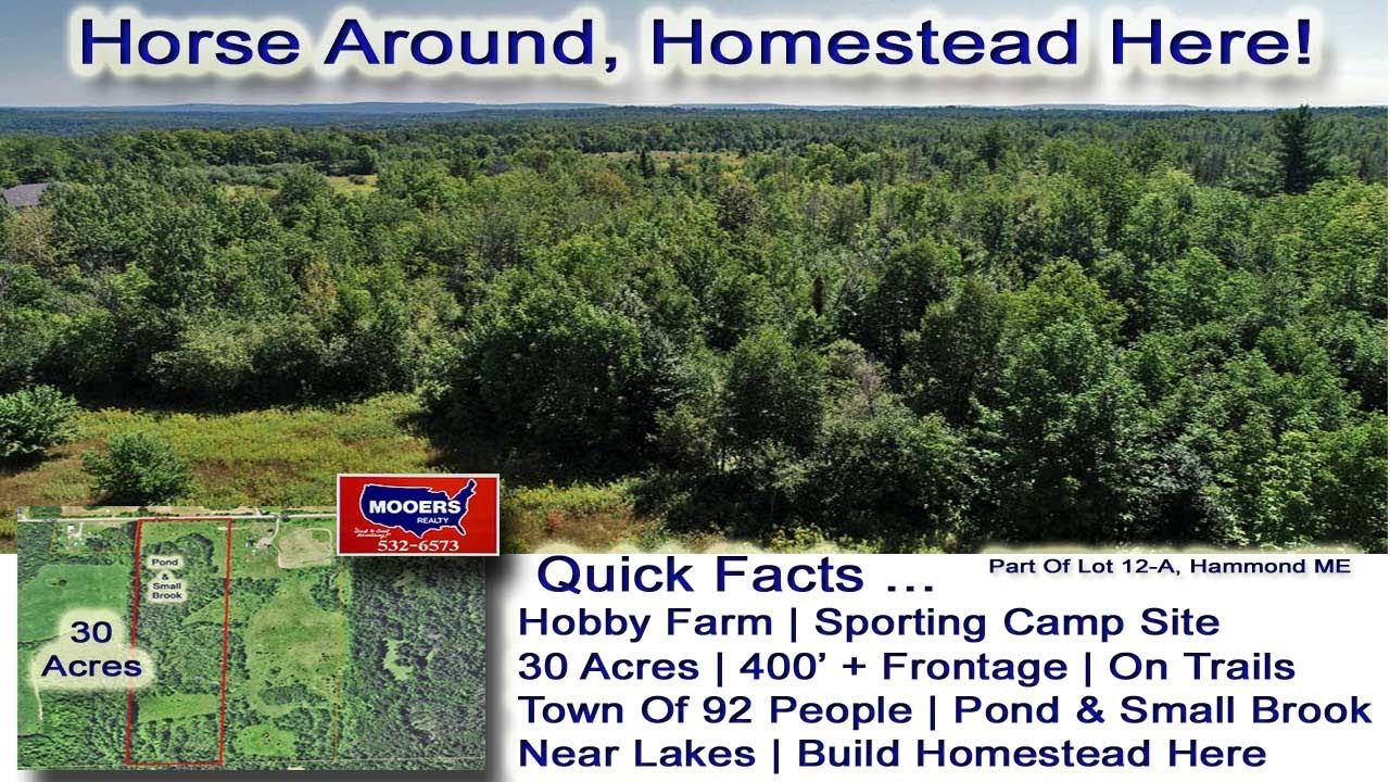Land For Sale In Maine | Homestead On 30 Acres ME Land | MOOERS REALTY #maineland