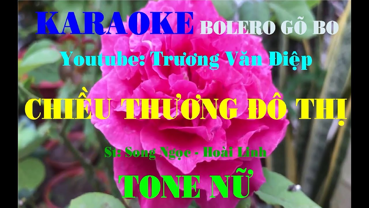 Karaoke Chiều Thương Đô Thị Tone Nữ Gõ Bo | Trương Văn Điệp