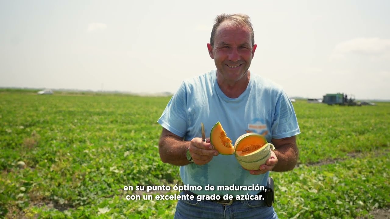 Conoce al productor | Melones Franceses