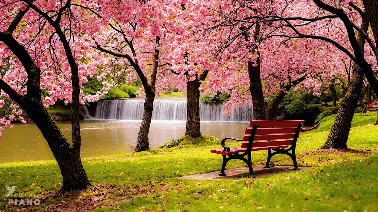 Calm Your Nervous System 🌿 Deep Healing Music for Emotional Balance
