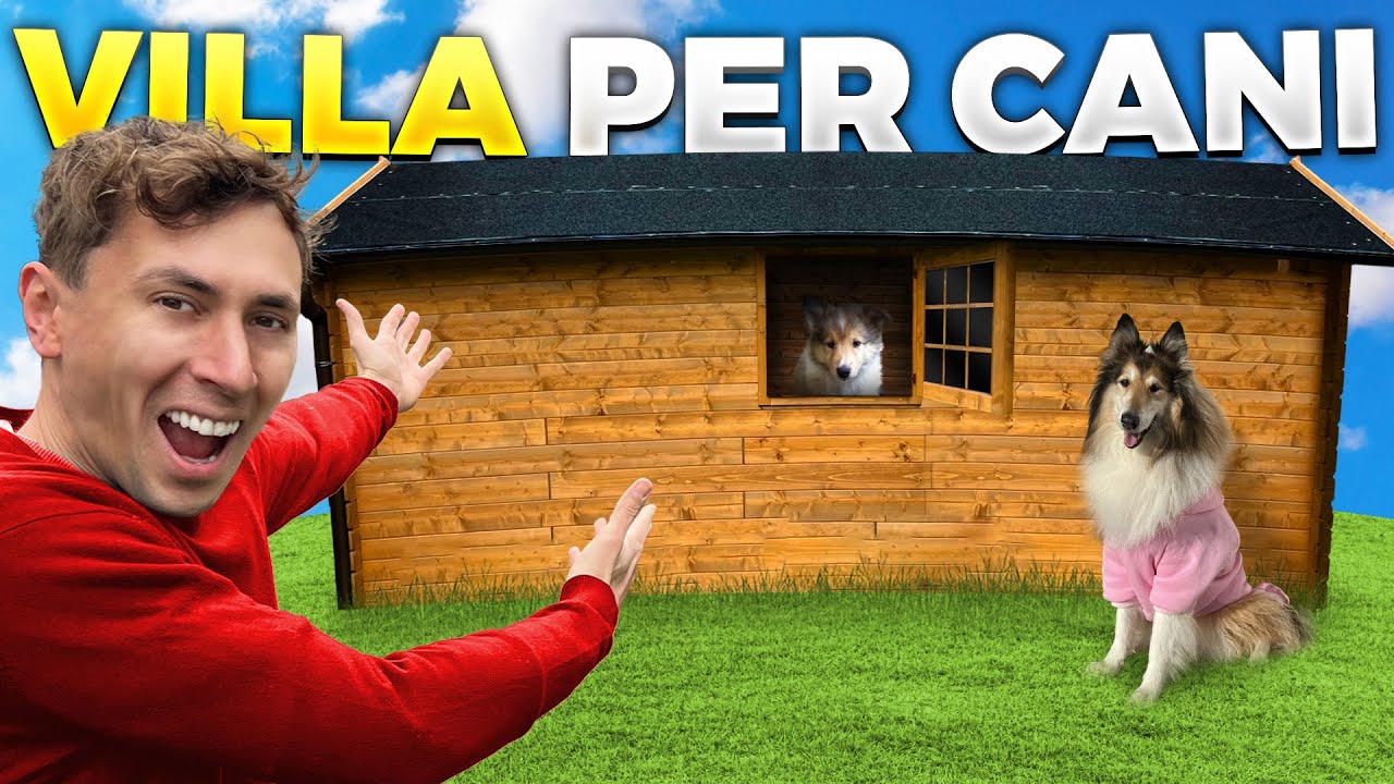 ARREDO la NUOVA VILLA per CANI e ci PASSIAMO la NOTTE!