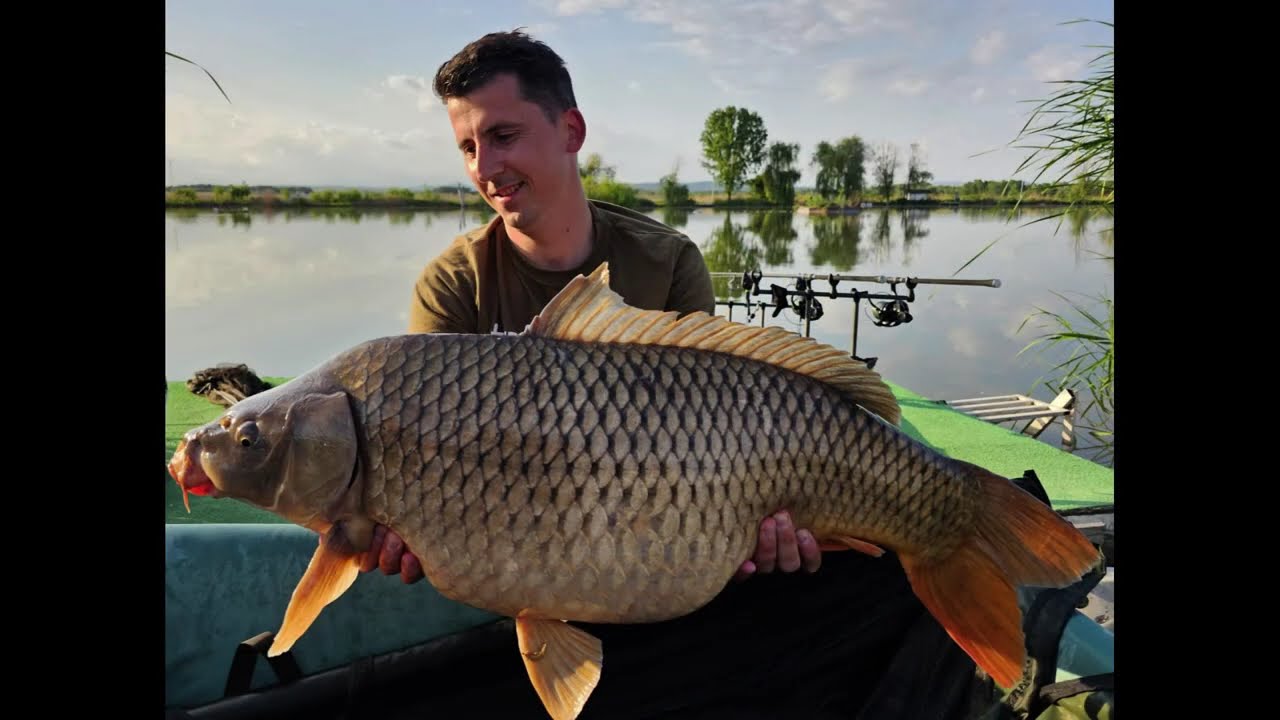 Pescuit la crap pe  New Lake Lazuri 5, inceput de vis , dublu dril si crapi bataiosi!  #carpfishing