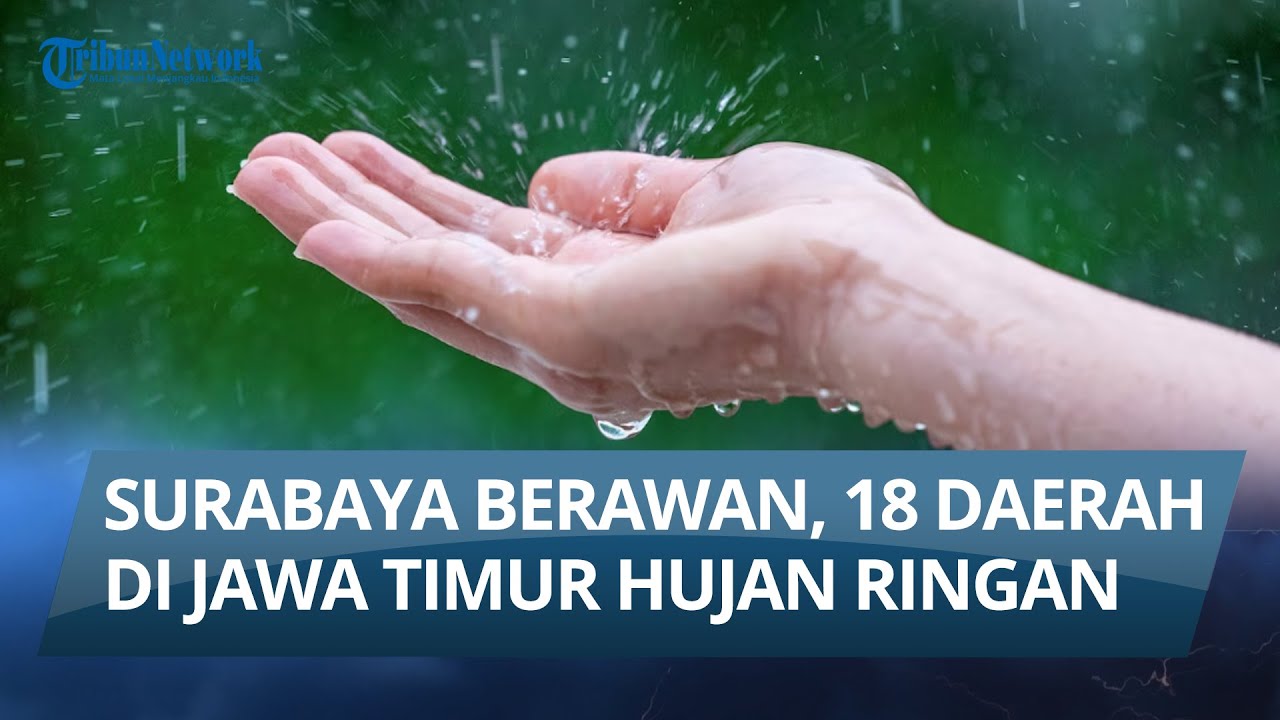 Surabaya Berawan, Jember, Malang & Madiun Hujan Ringan. Info Cuaca 29 Januari 2026