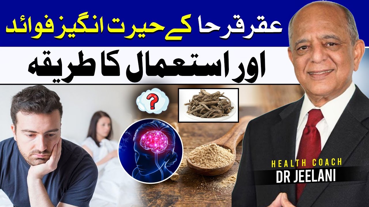 Akarkara ke Hairat Angaiz Fawaid aur Istamal ka Tareeqa |Akarkara Benefits for Brain & Men’s Health