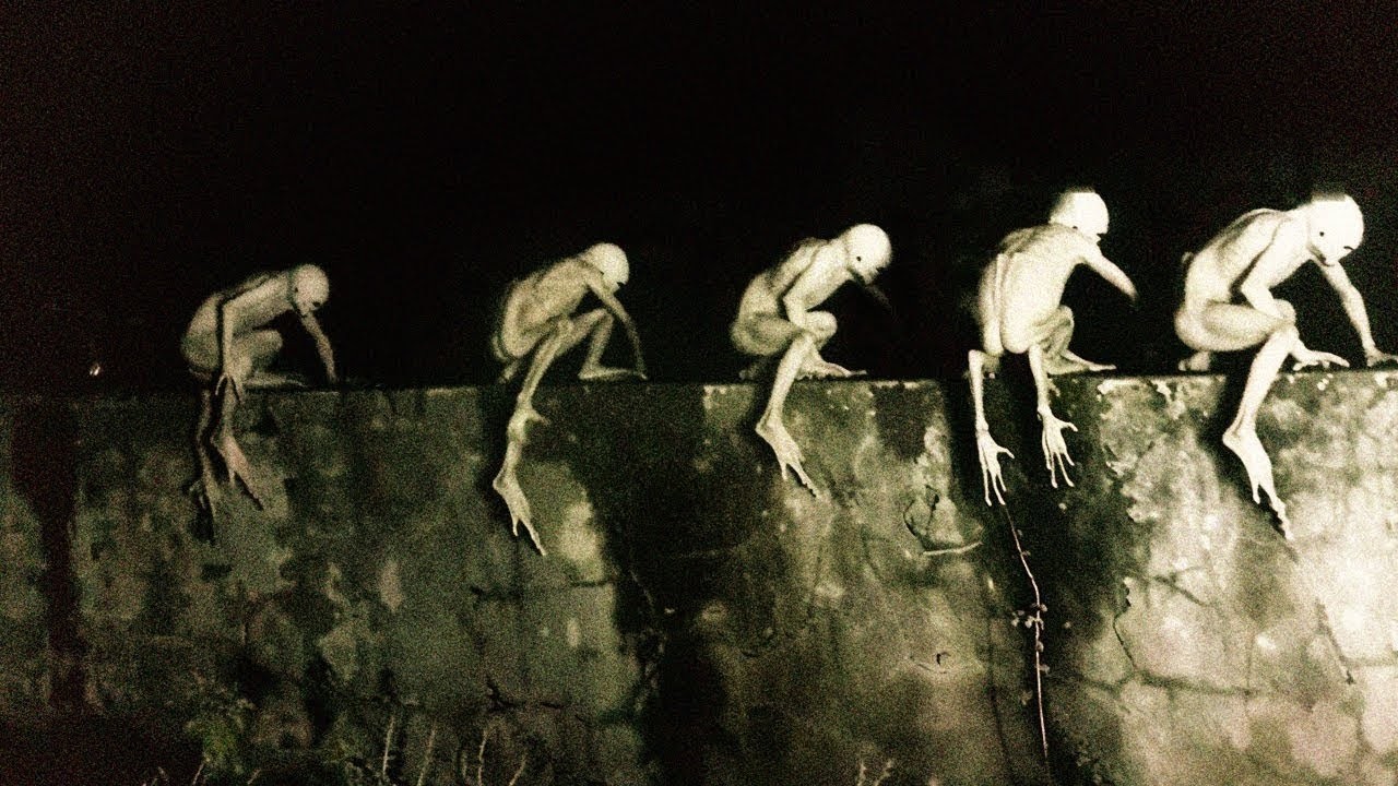 Nikt kto oglądał te filmy nie potrafi ich wyjaśnić!