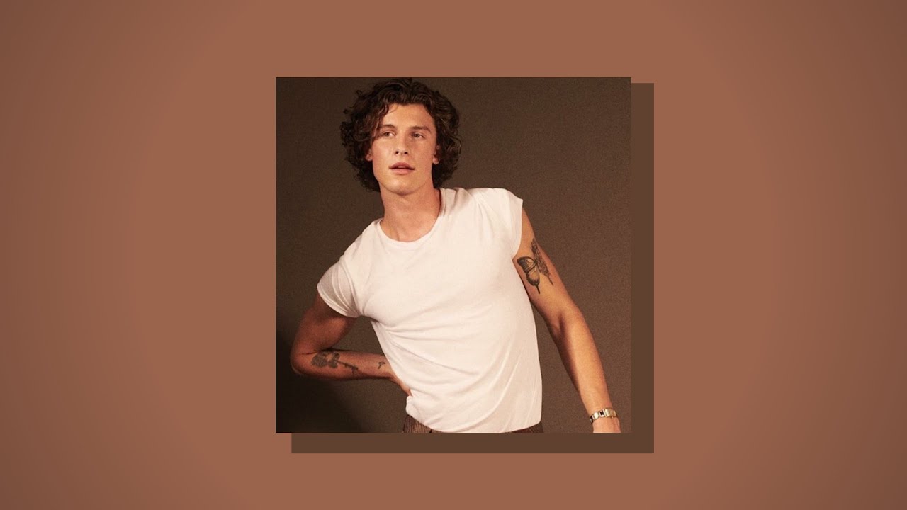 (FREE) Shawn Mendes Type Beat x Ed Sheeran Type Beat - 