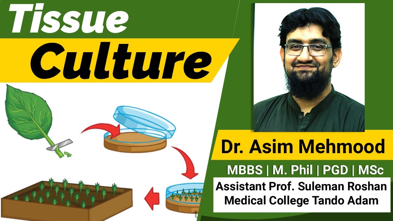 Tissue Culture Made Easy ( Hindi / Urdu )