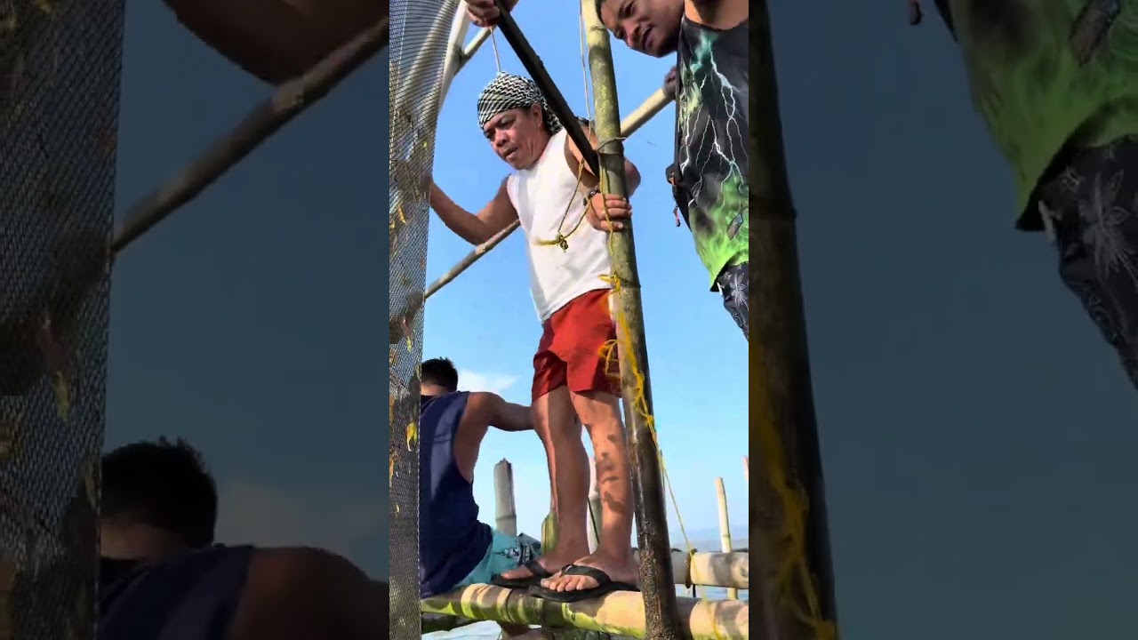 PART~2 FISHING TRAP NI BOY KILAW MARAMI NA NAMANG HULI PRESKONG KINILAW SAKTO SA BAHAW 