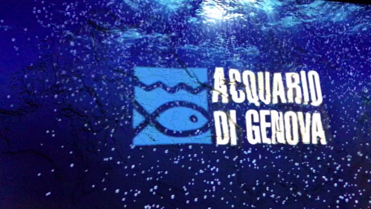 AcQuario di Genova (اكواريوم جينوفا) Italia🇮🇹