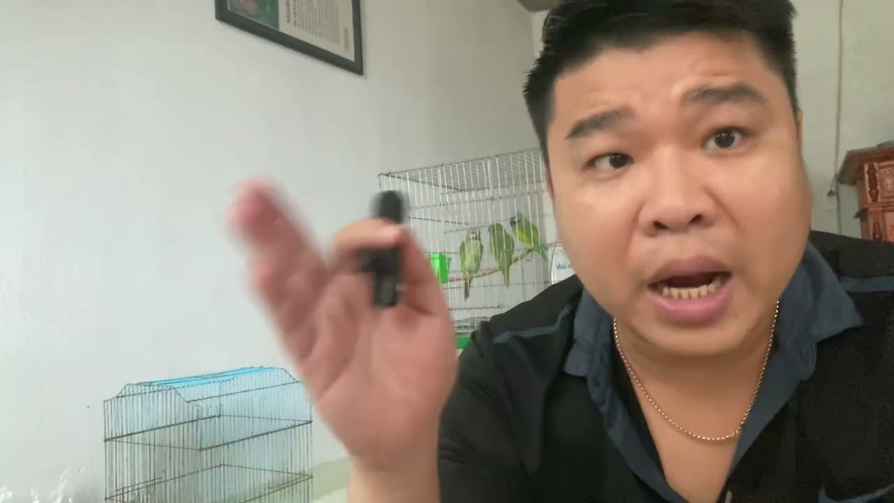 Nhận biết bệnh đường ruột ở vẹt , cách nhận biết bệnh và phòng trị bệnh đường ruột ở vẹt 