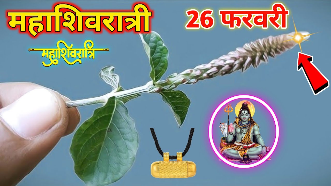 Mahashivratri 2025 | Shivratri Kab hai | महाशिवरात्री करें ये उपाय  | Shivratri 2025  | Vastu tips