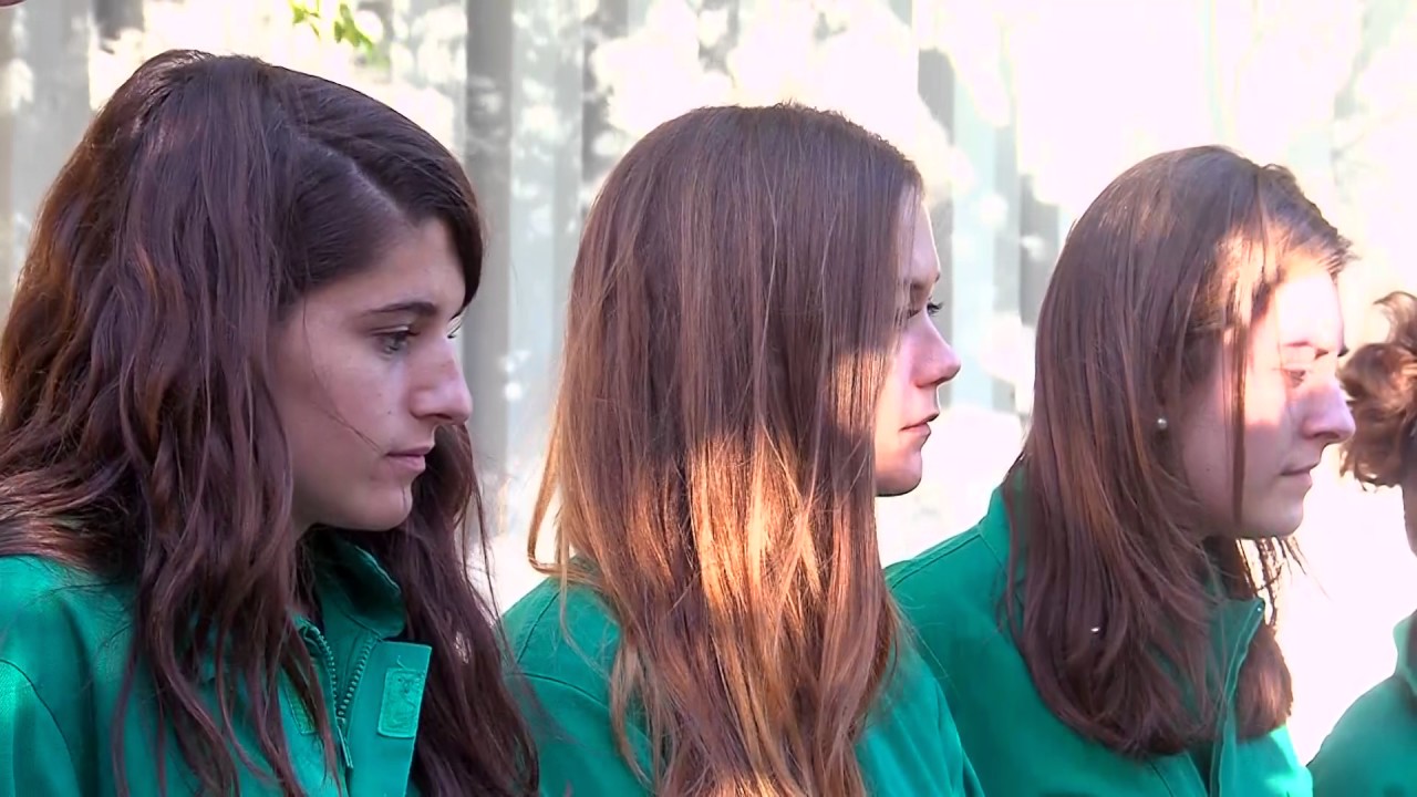 3 Facultad de Veterinaria, Estudio de los Equinos