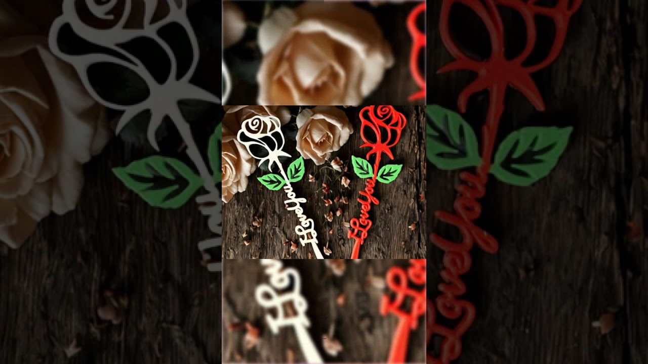 Valentine Rose Love Message Flower Gift Idea Valentine Day Present Romantic Anniversary Red Long ...