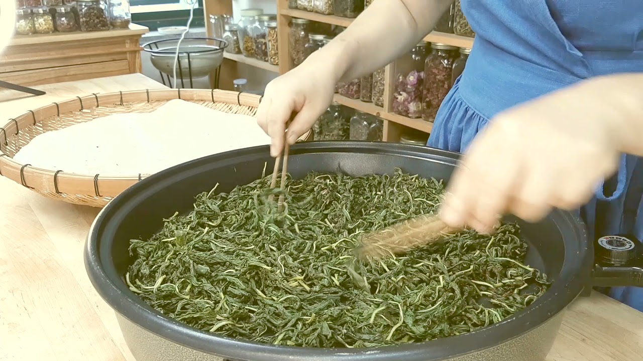 이슬차 만드는 법/ 차수국/ 성인병 예방과 다이어트에 좋은 차