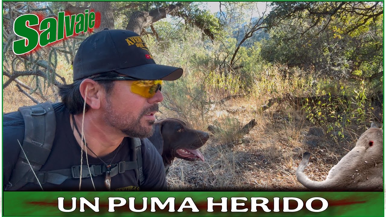 AVENTURA 501 FUI A RECOGER LAS CÁMARAS Y ME ENCUENTRO CON ESTO