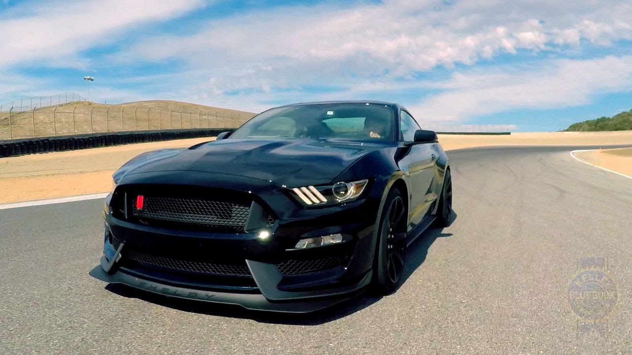 2016 Ford Shelby Mustang GT350 - First Look