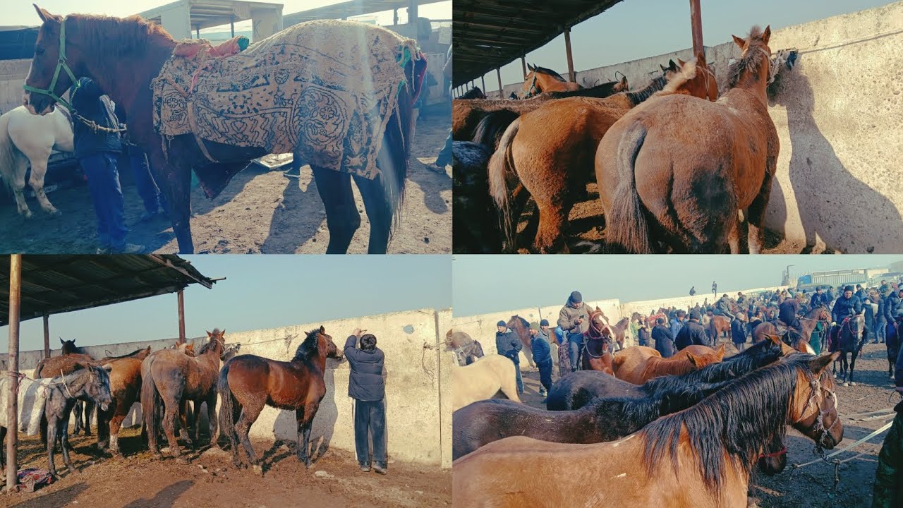 АСП БОЗОРИ ЛЕНИСКИ РАЁН РЕКЛАМА МРОЖАТ 902.21.31.91 