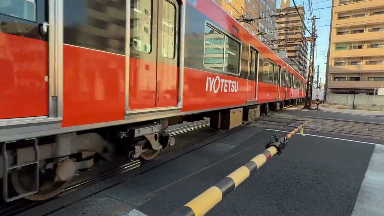 2026.02.21 마쓰야마 이요테츠 타카하마선 오테마치 건널목 요코가와라행 7000계 신차 통과 동영상