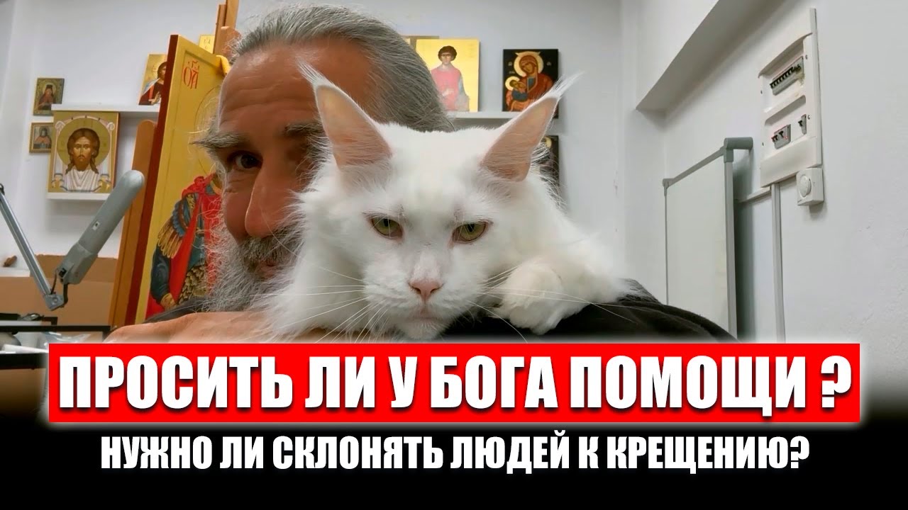 Причастие и пост. Как человека подвести к крещению? Может ли Бог вывести из ада душу по молитвам?