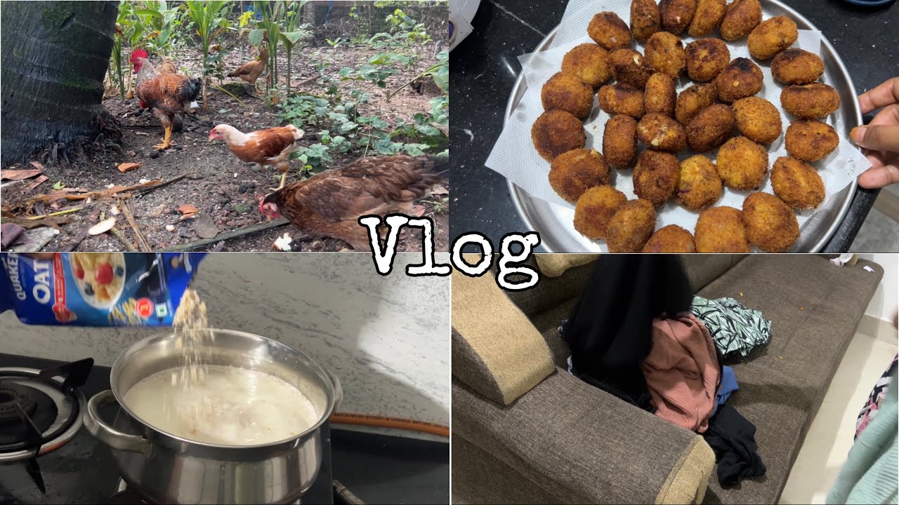 Evening Vlog✨Moving to Husband's Home 🏡 Cutlet Recipe 