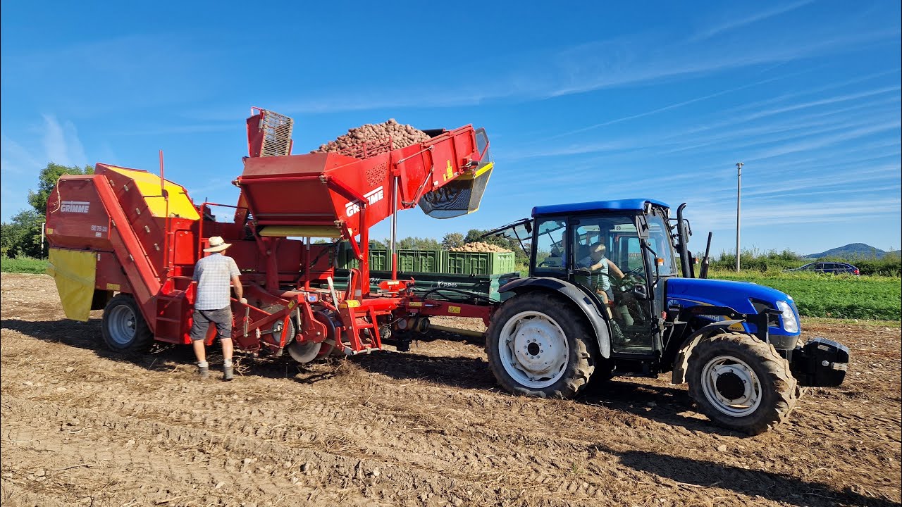 Hofladen Putzhammer - Kartoffelproduktion & Ernte mit Grimme SE 75-20 & New Holland TND60DA