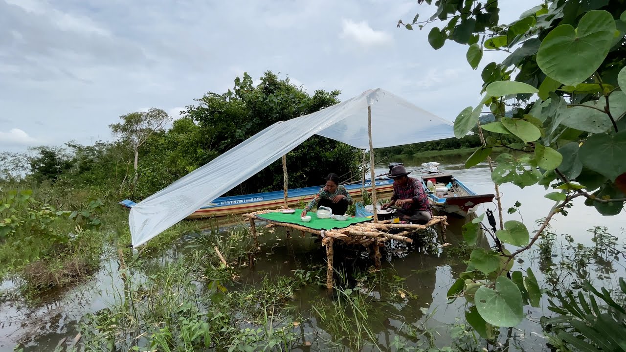 គោះអង្រងតាមកោះ BIULD A BEAUTIFUL HUT WAIT TO FIND SNAKEHEAD ON A NEW ISLAND QUALITY 4K VIDEO