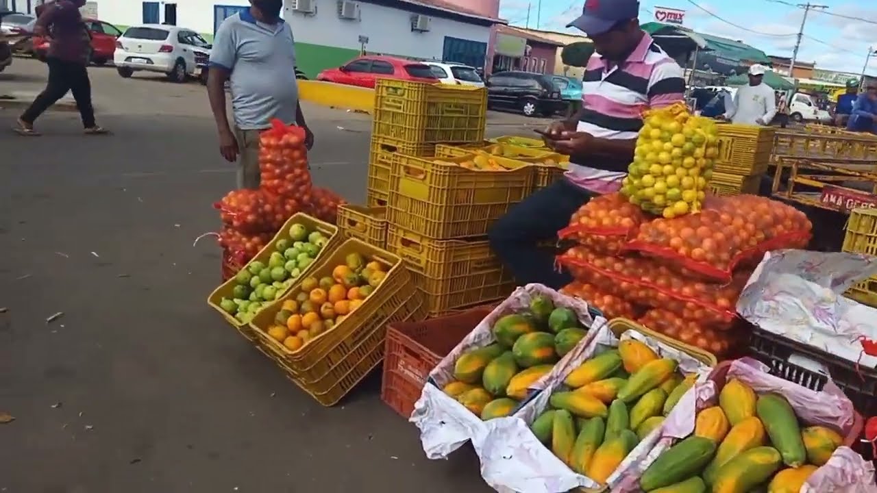 MERCADO DO PRODUTOR EM JUAZEIRO-BA.A POTÊNCIA DO AGRO NO SERTÃO.(PARTE 1)